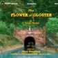 Flower of Gloster talking book - click for info